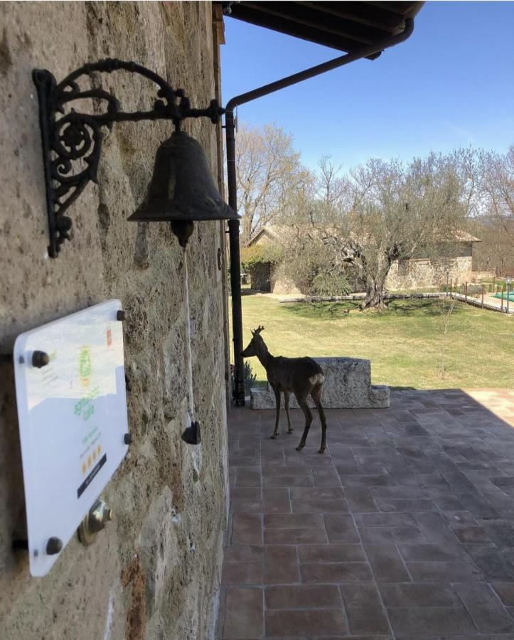 Agriturismo Eco-Bio Villa Vacasio Pitigliano Kültér fotó