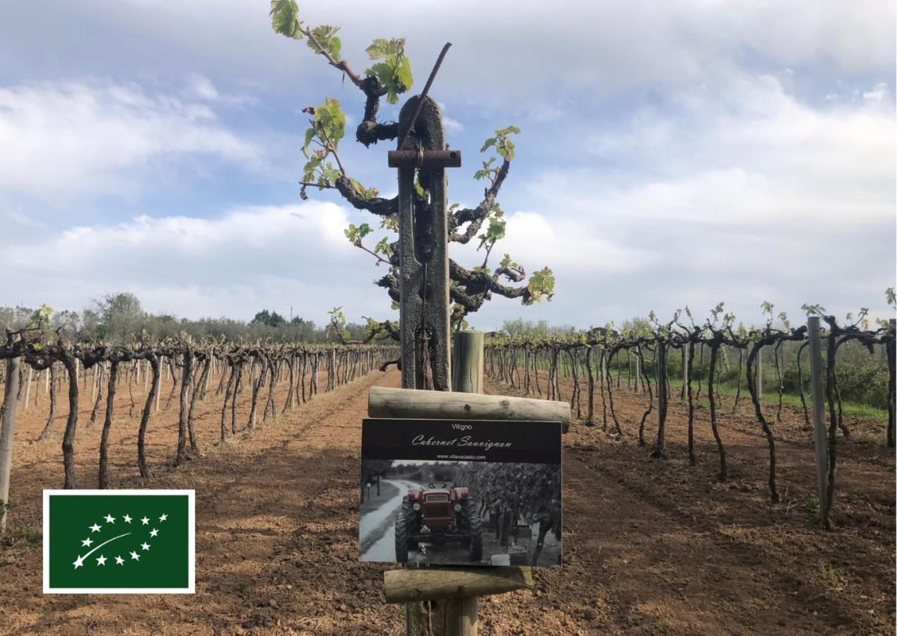 Agriturismo Eco-Bio Villa Vacasio Pitigliano Kültér fotó