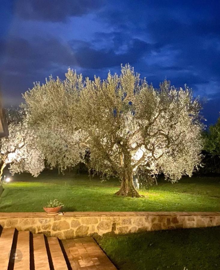 Agriturismo Eco-Bio Villa Vacasio Pitigliano Kültér fotó