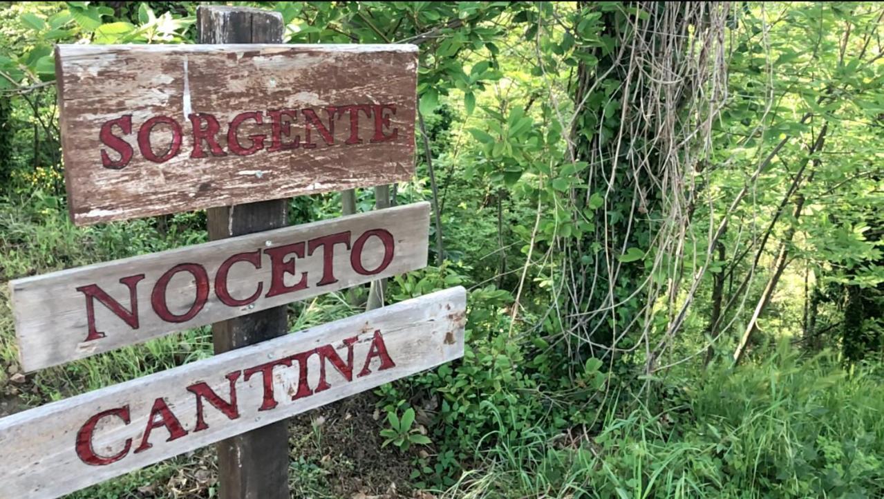 Agriturismo Eco-Bio Villa Vacasio Pitigliano Kültér fotó