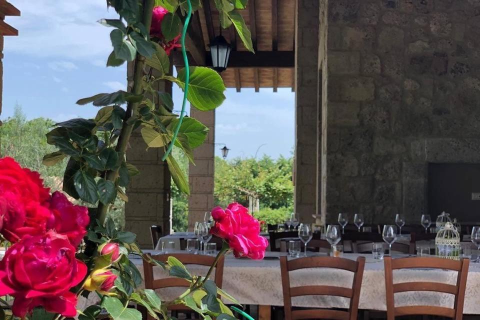 Agriturismo Eco-Bio Villa Vacasio Pitigliano Kültér fotó